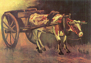 Ox carts with brown Ox